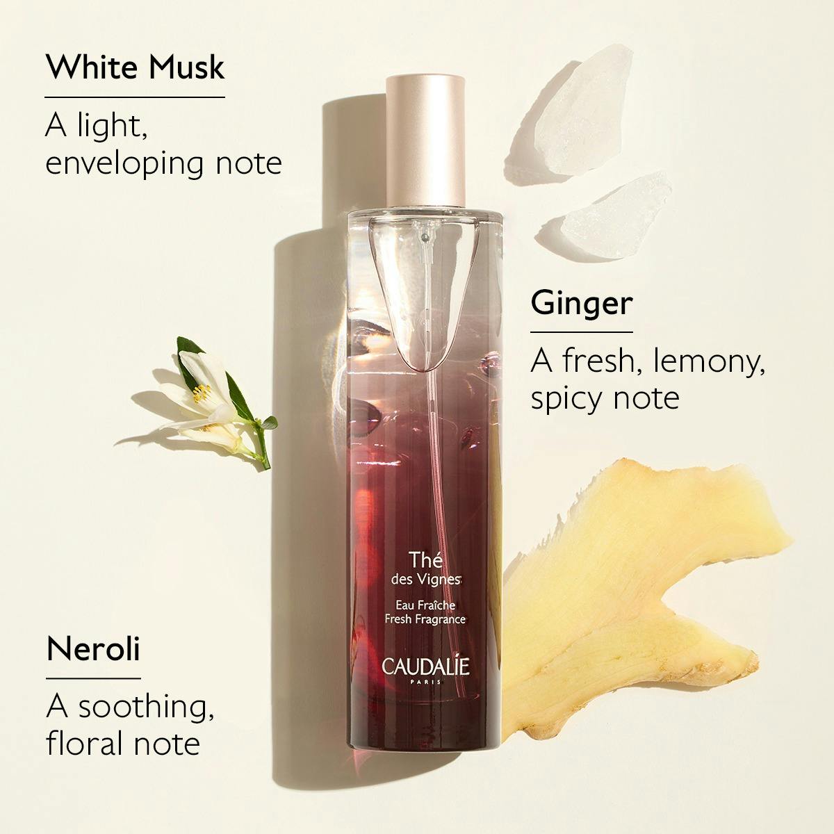 The des Vignes Light Fragrance